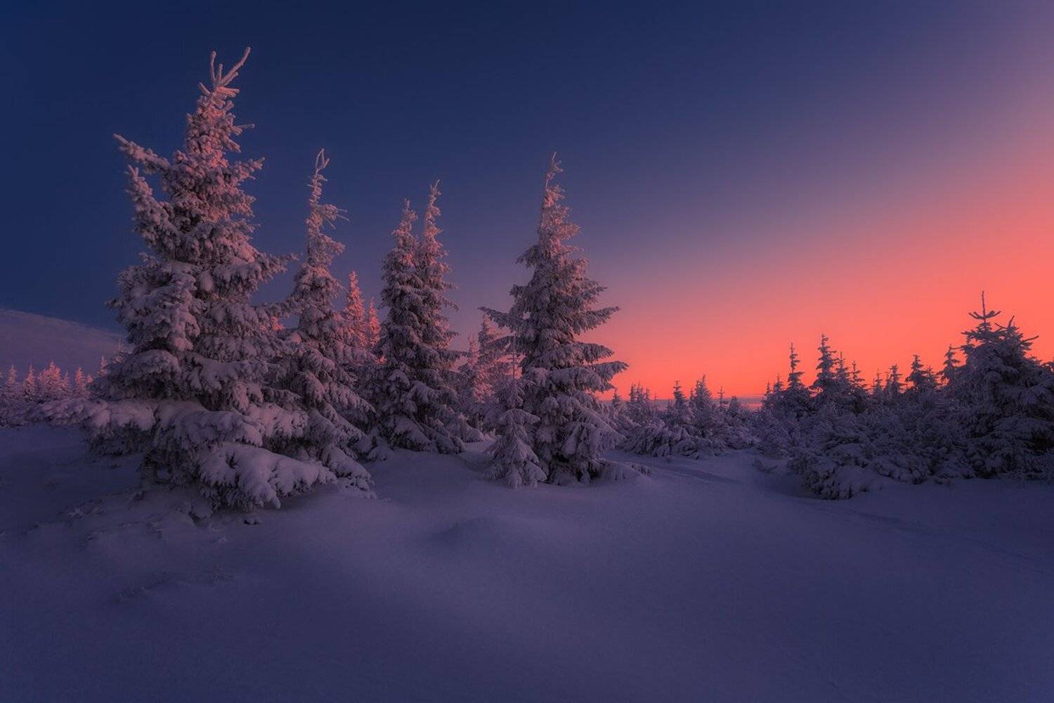 landscape,canon,winter,awakening, Iza,Darek