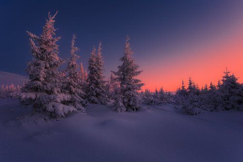 The Tangerine Sky...