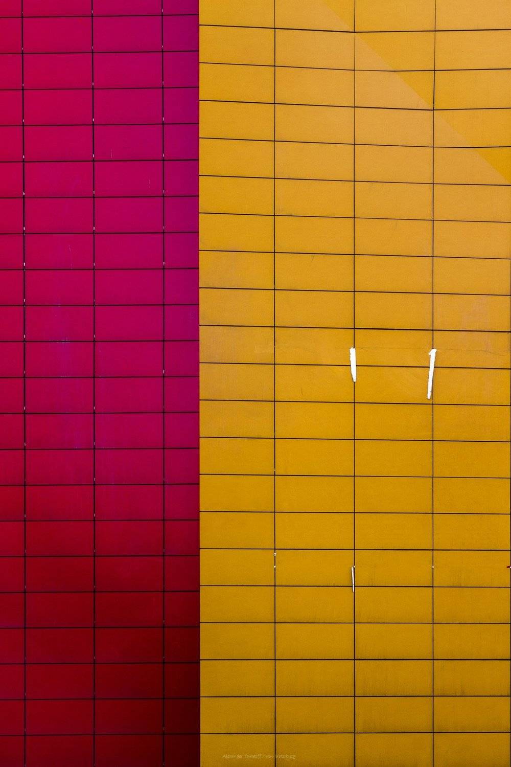 , АлександрТутаев