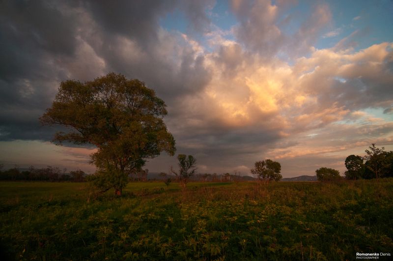 *** фото превью