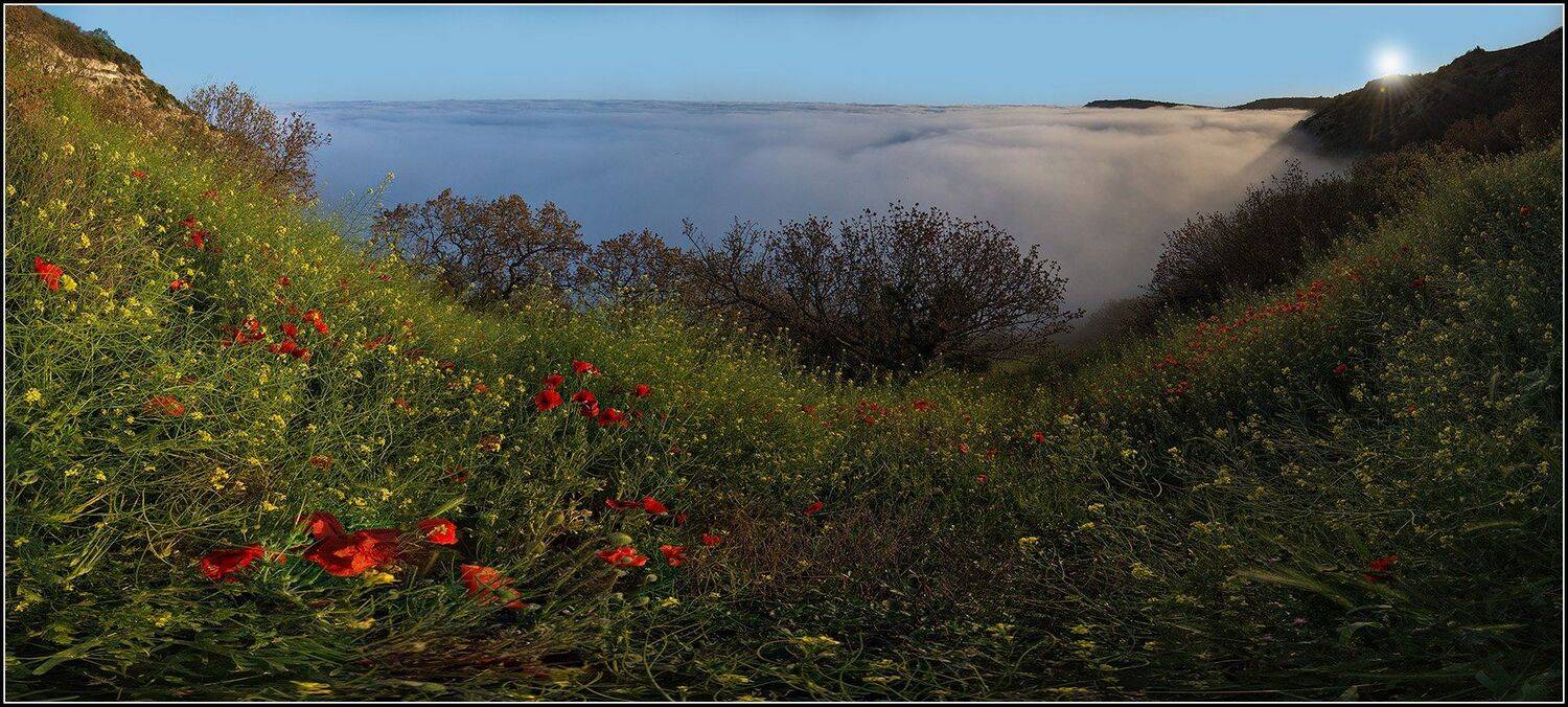 крым, вечер, фиалент, туман, маки,панорама, АНАТОЛИЙ ДОВЫДЕНКО