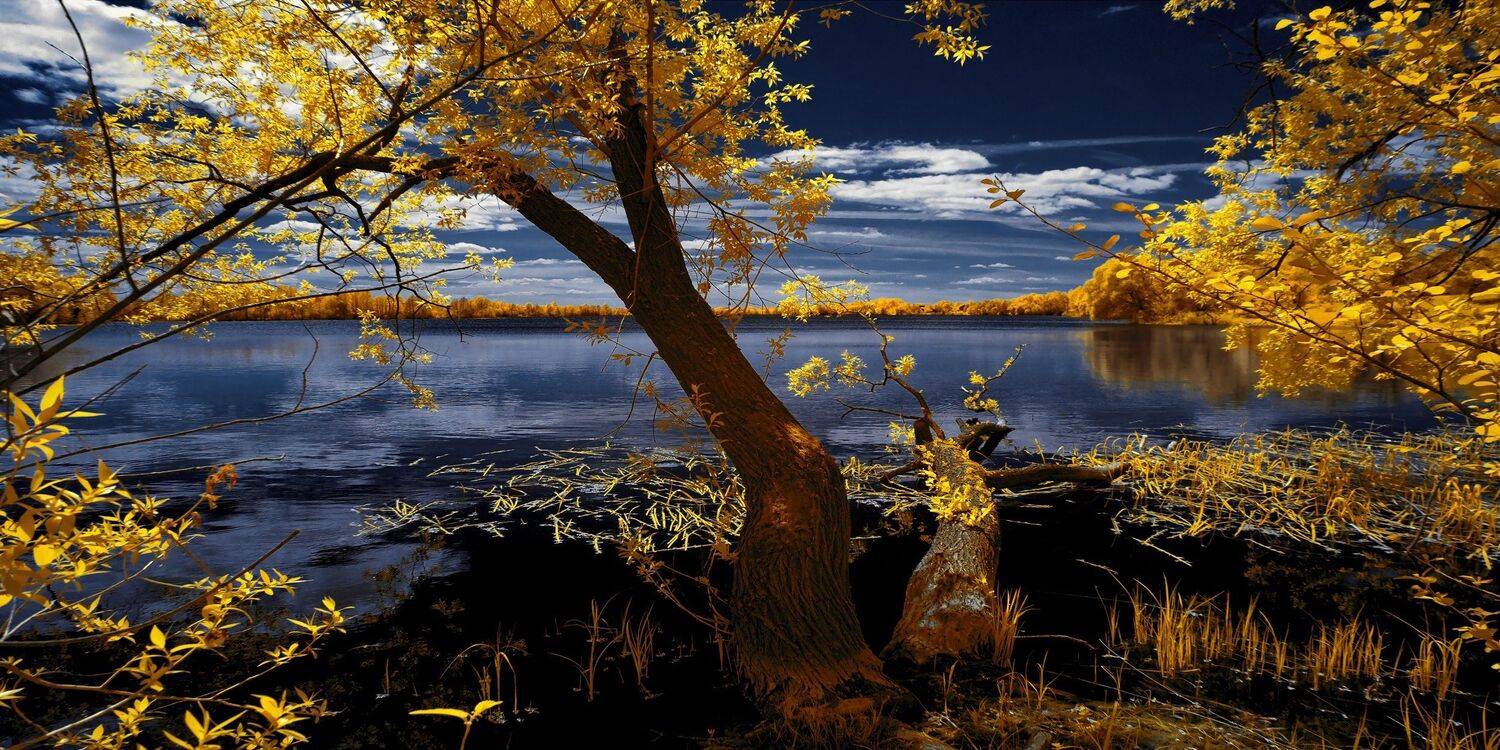 , Sixten ( Сергей )