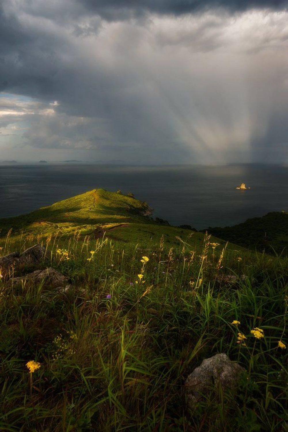 приморский край, заповедник, рассвет, море, солнце, Сорокин Алексей