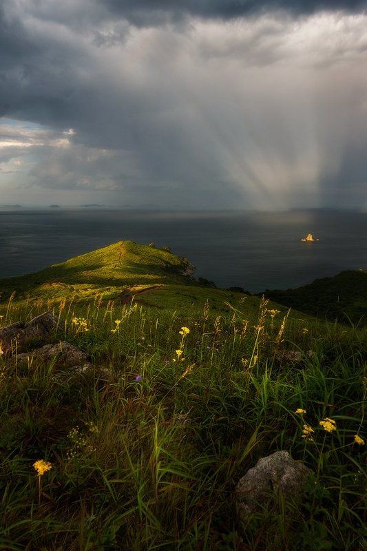 приморский край, заповедник, рассвет, море, солнце в прицеле природы фото превью