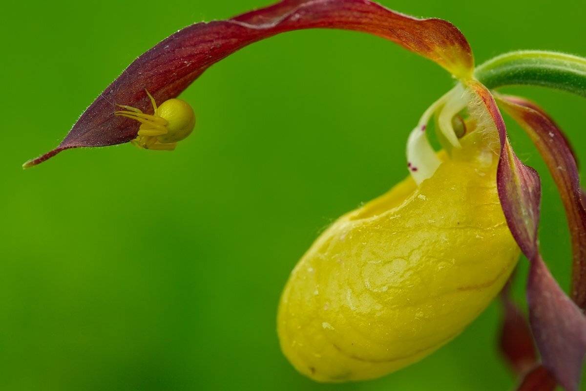 , Сергей Кузнецов