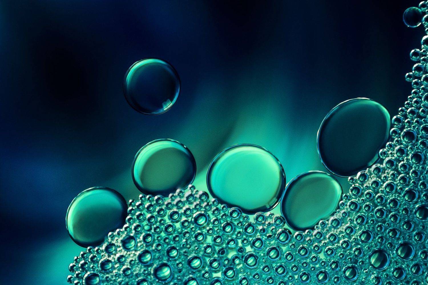 , Ивелина Благоева