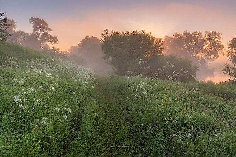 рассвет, пейзаж, угра Угра предрассветная... фото превью