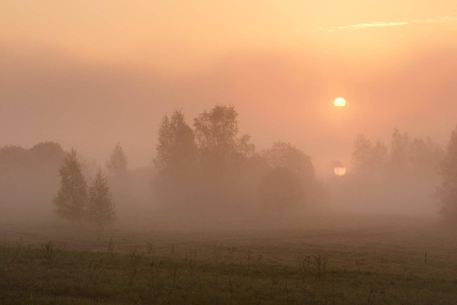, Максим Евдокимов (www.wildphotorus.ru)