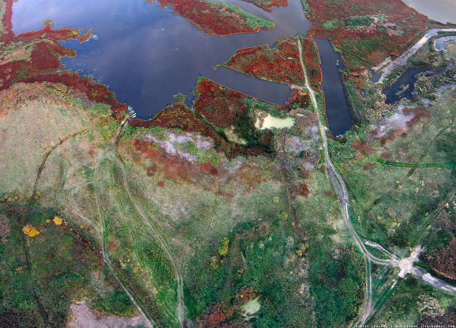 , Алексей Лобанов