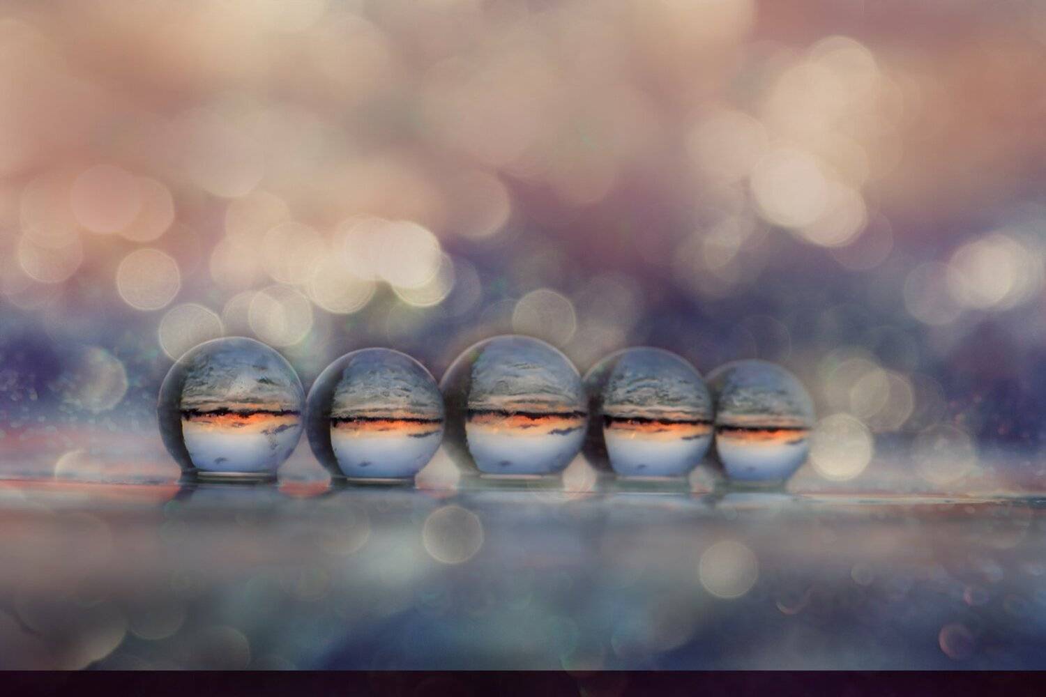 , Таня  Маркова