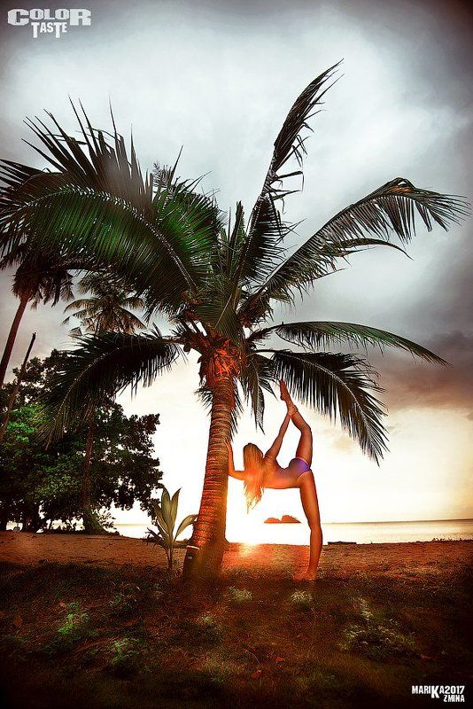 COLOR TASTE фото превью