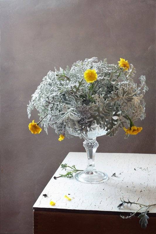 , Курочкина Диана