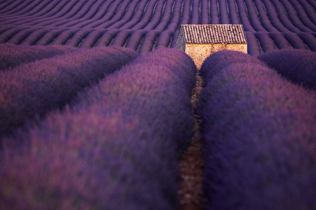 , Pawel Uchorczak