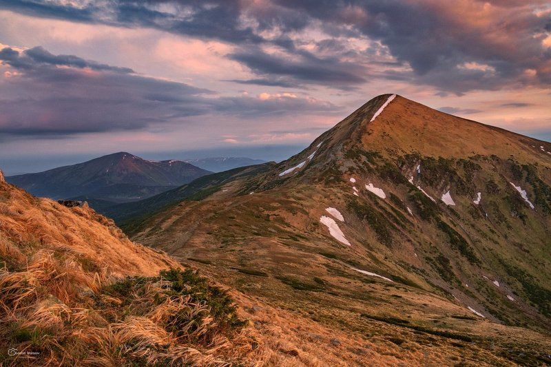 рассвет., туман., карпаты., горы  фото превью