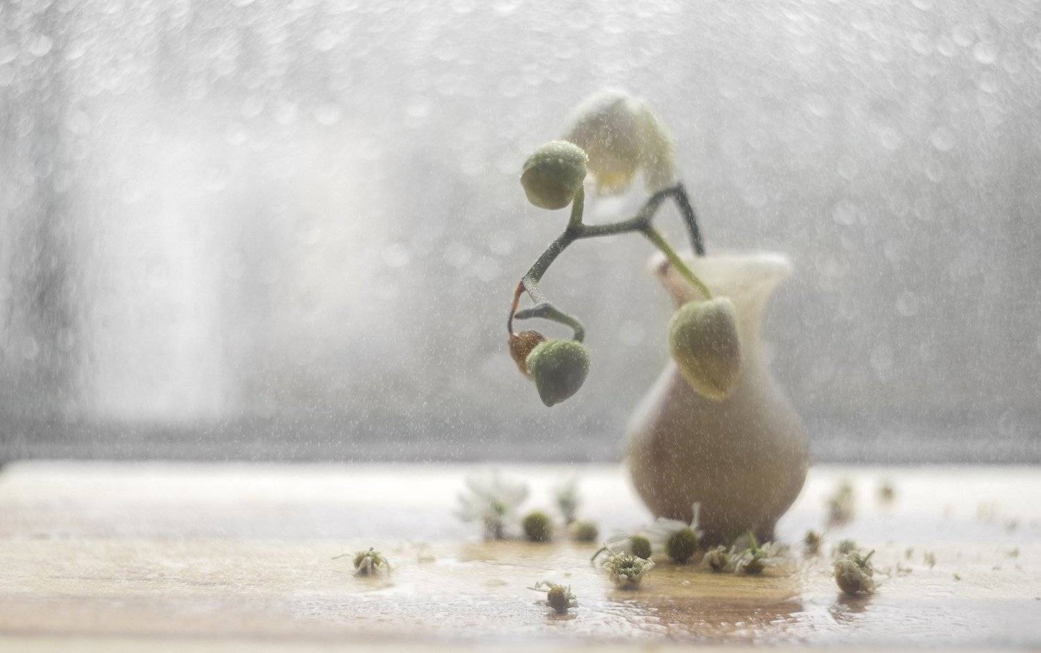 , Рашид Хайданов