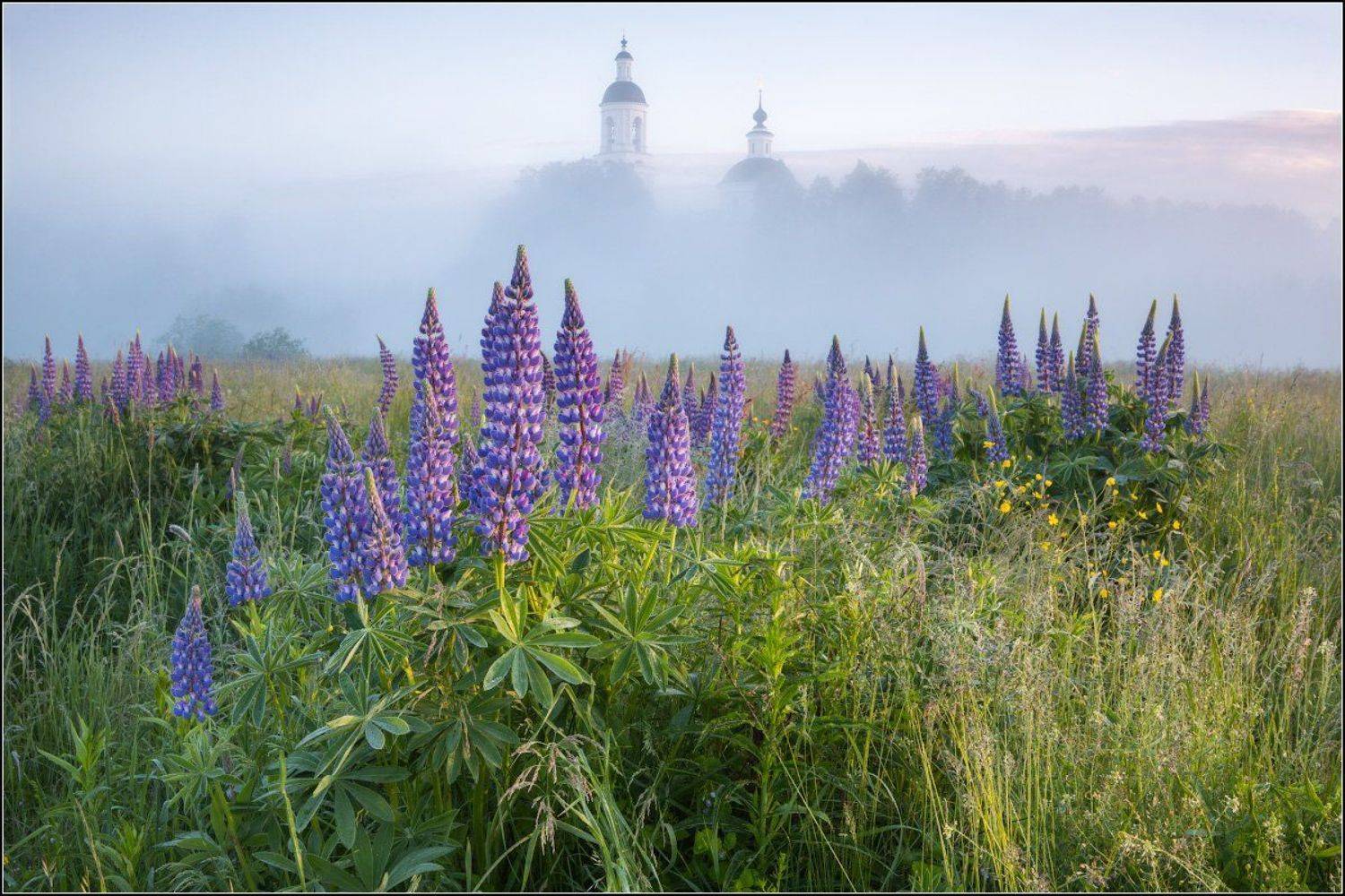 Россия, Владимирская обл, Филипповское, Александр Марецкий