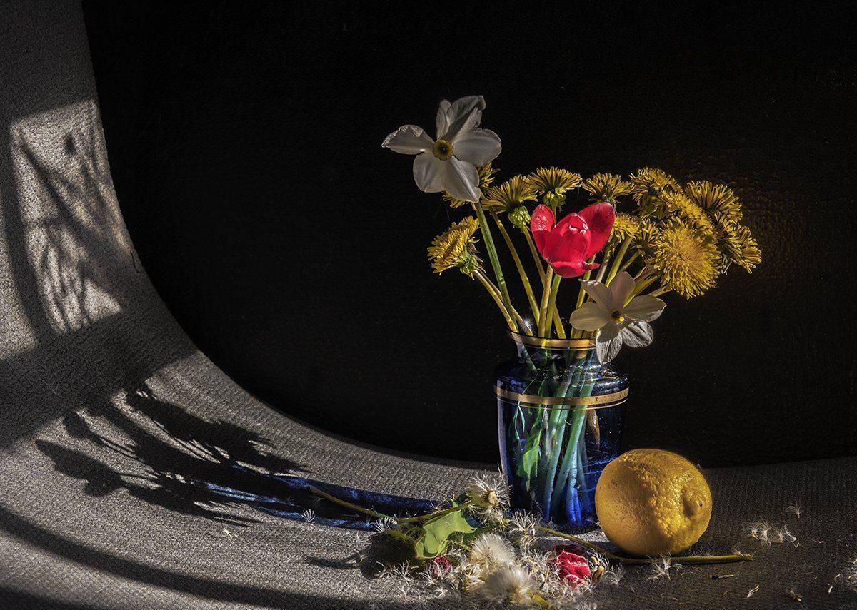 , Марина Никулина