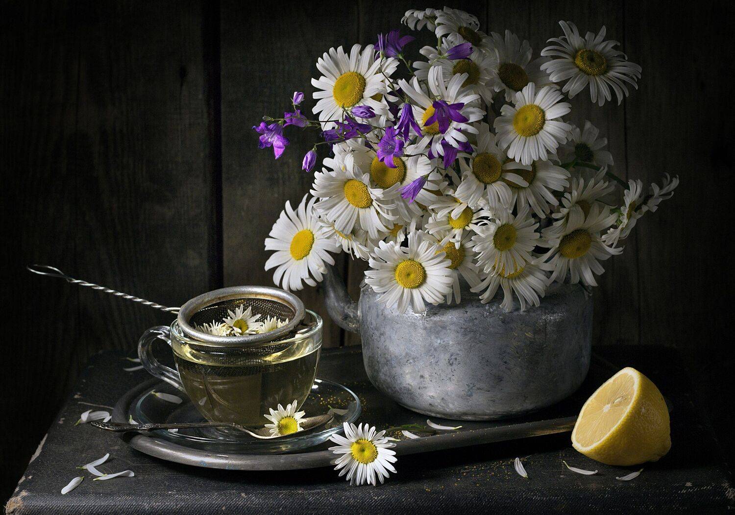 , Наталья Бочкарева