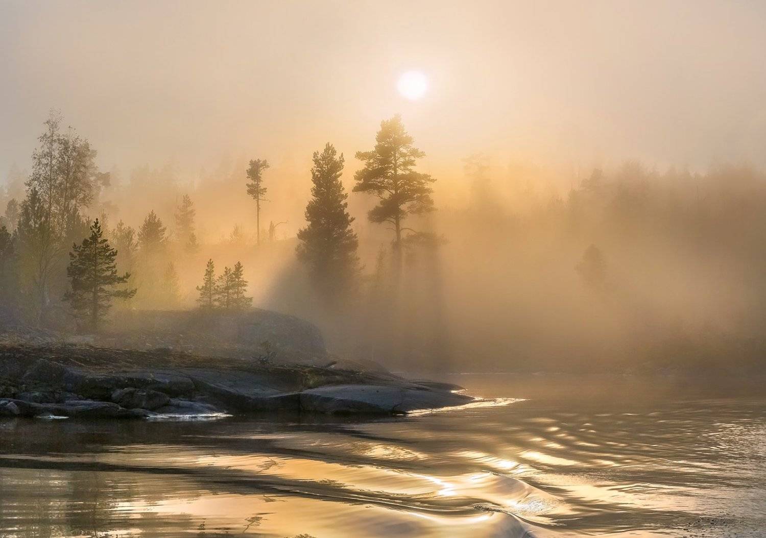 ладожское озеро, карелия, шхеры, лето, туман, скалы, лес, сосны, берег, фототур, остров, путешествие, плавание, вода, солнце, закат, отражение, лучи, Лашков Фёдор