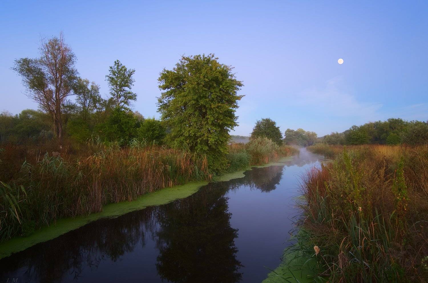 деревья, луна, осень, полнолуние, речка, туман, Утро, river, fog, morning, autumn, Moon, I'M
