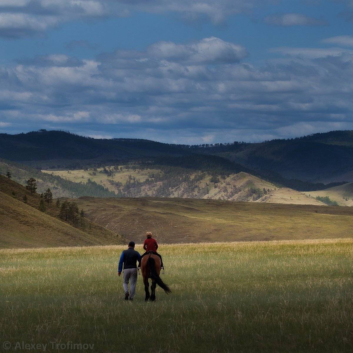 тажераны, Алексей Трофимов