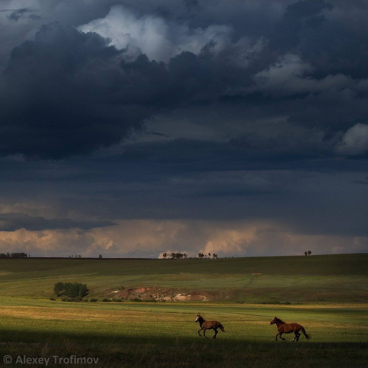 , Алексей Трофимов