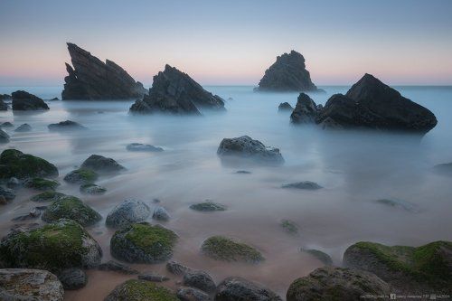 Акульи плавники Адраги  - Shark fins of Adraga