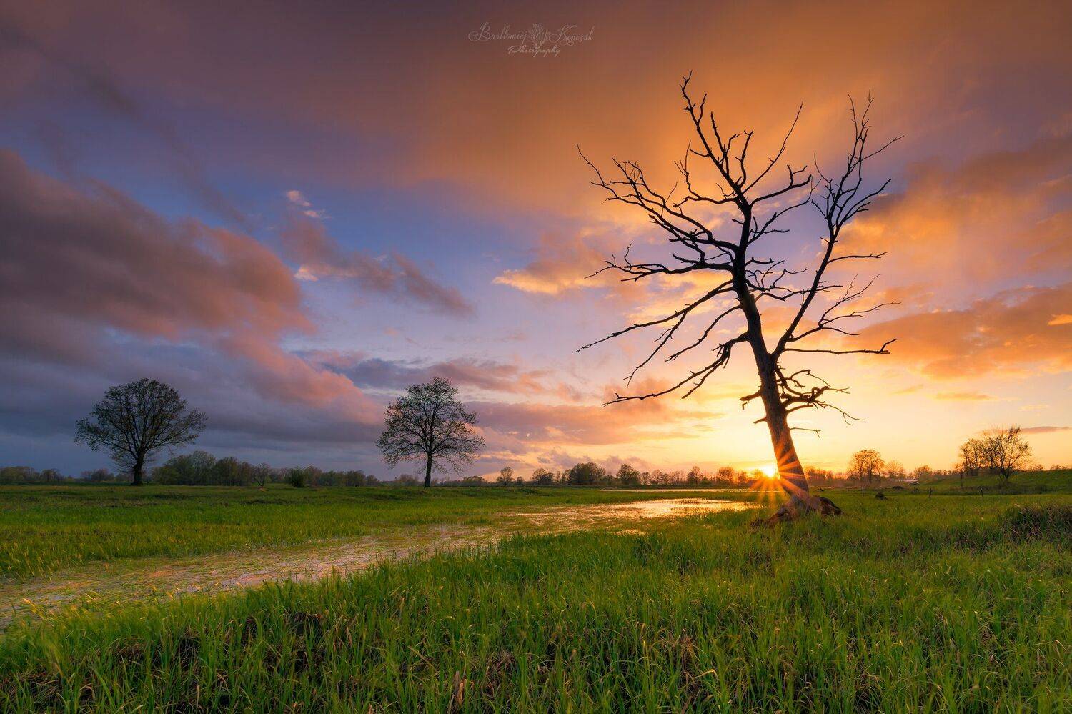 , Bartłomiej Kończak