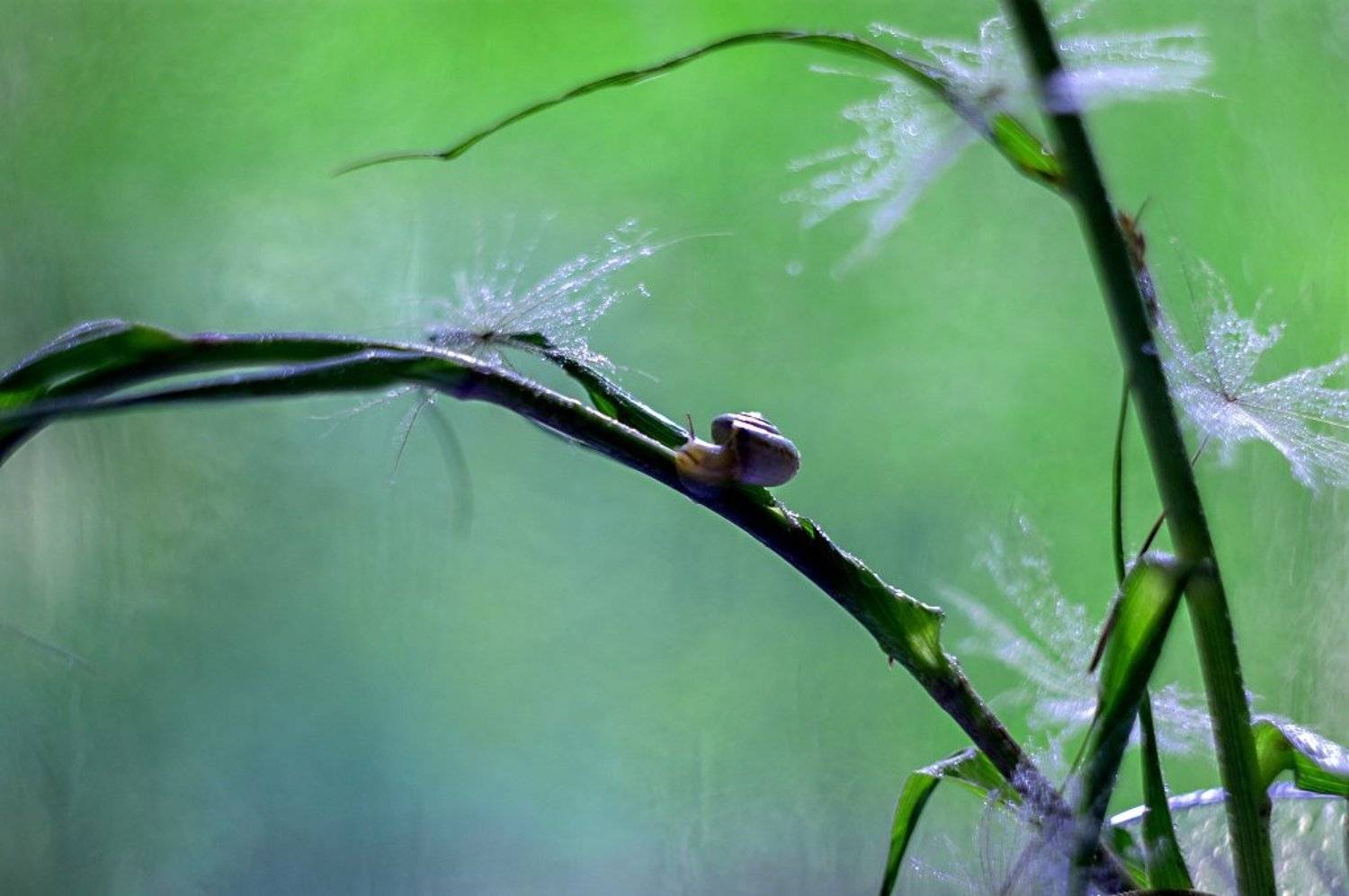 , Марина Соколова