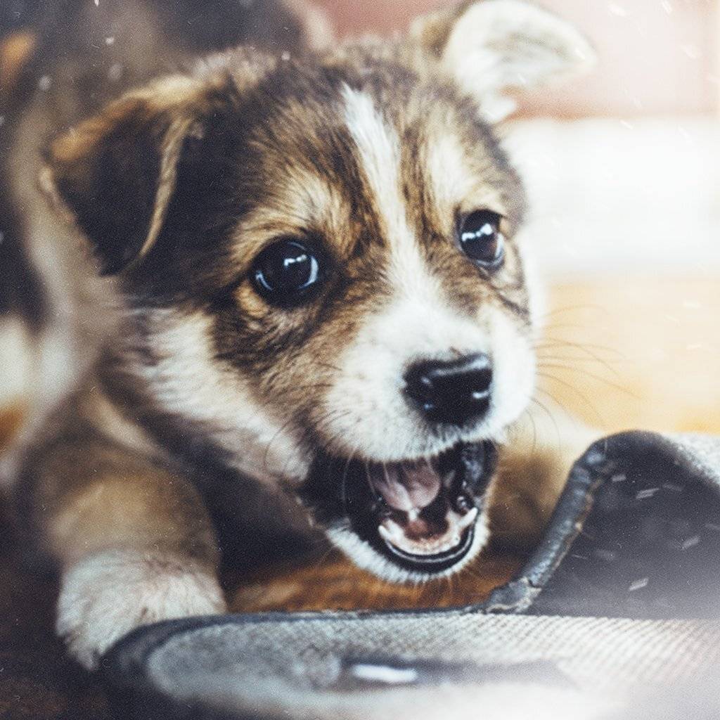 , Рублёв Дмитрий