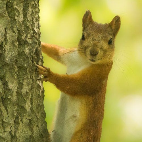 Привет,фотограф!