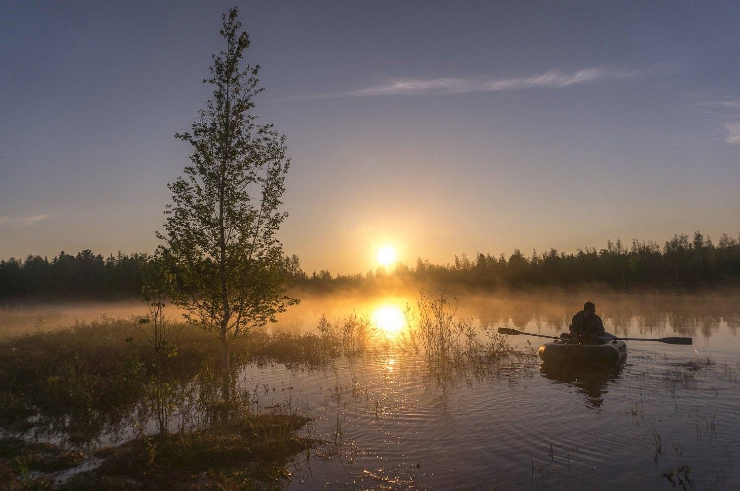 , Тушин Алексей