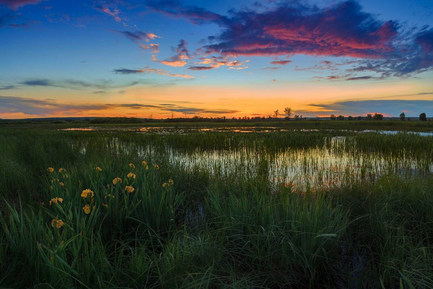 , Марат Кучкаев