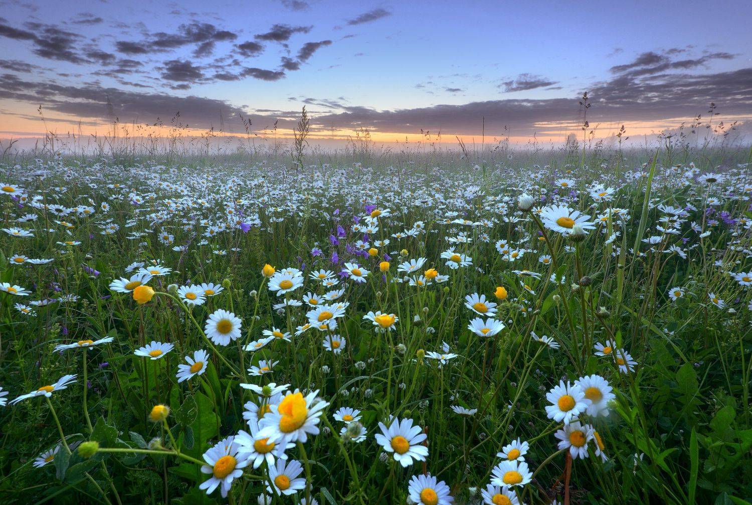 #пейзаж #подмосковье #закат #рассвет #россия #жизнь #мир #чехов #sibirikonium85, Морозов Юрий