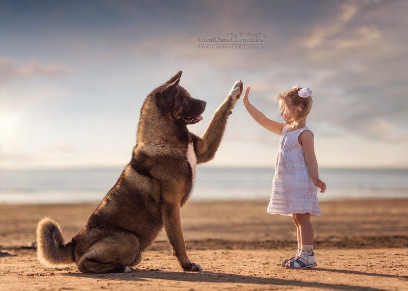 High Five!