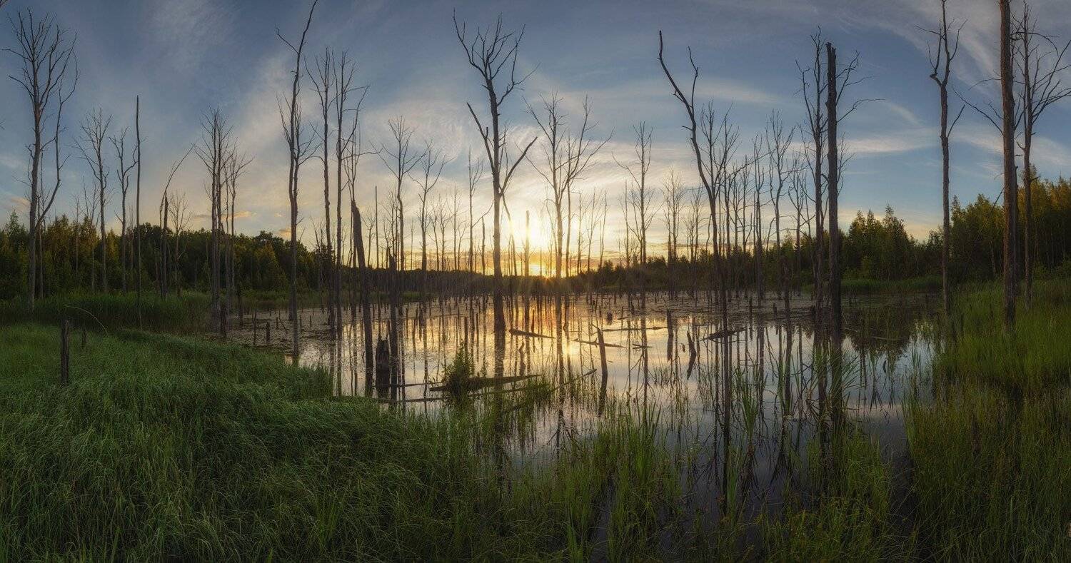 тула, суворов, мертвое озеро, Сергей Кочергин