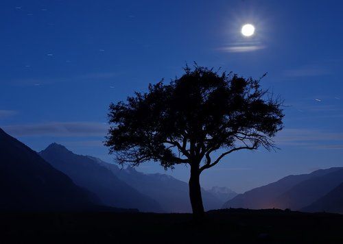 ЛУНА НАД ДОЛИНОЙ