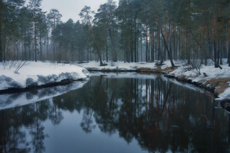 югра,река пим таёжная река Пим фото превью