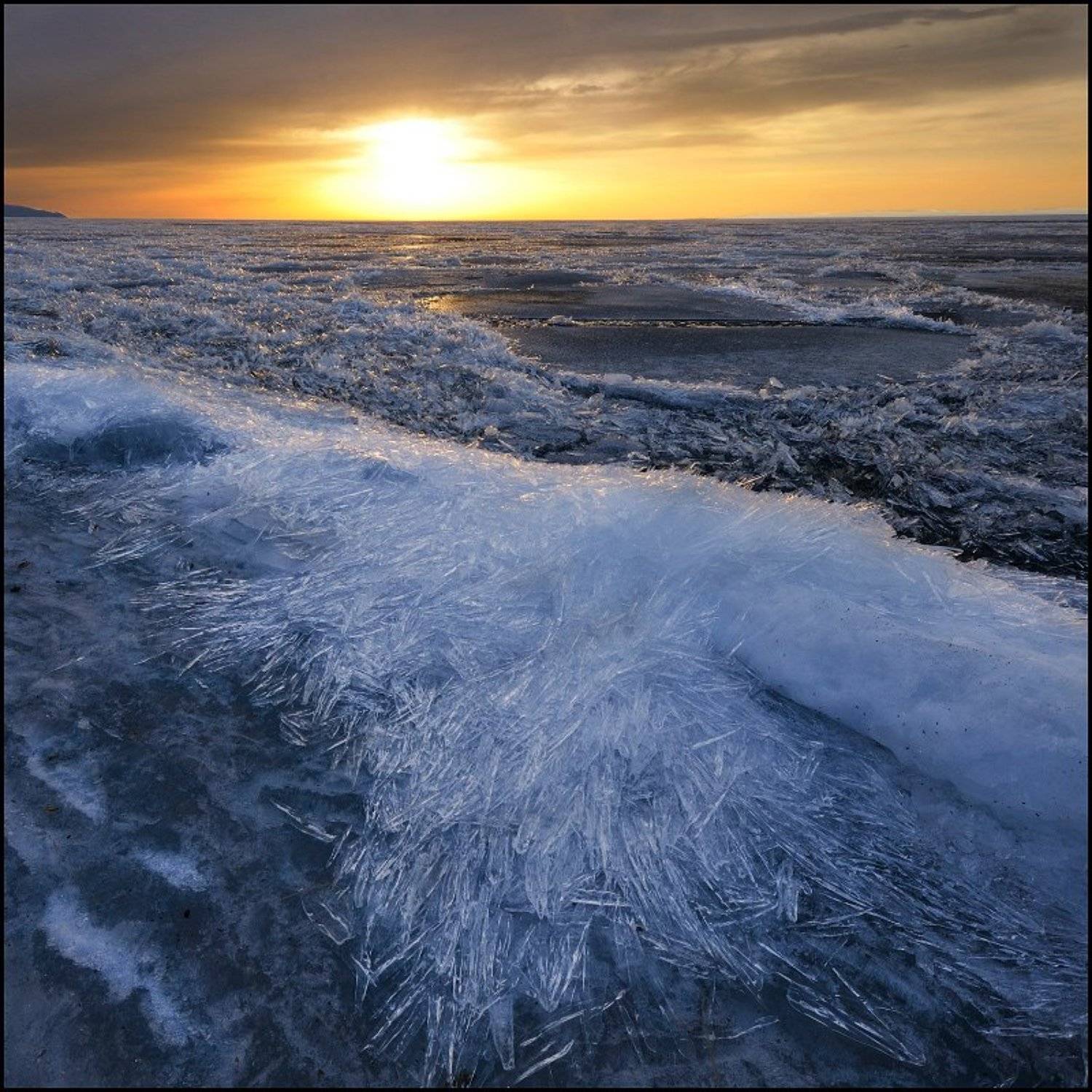 , Владислав Д.