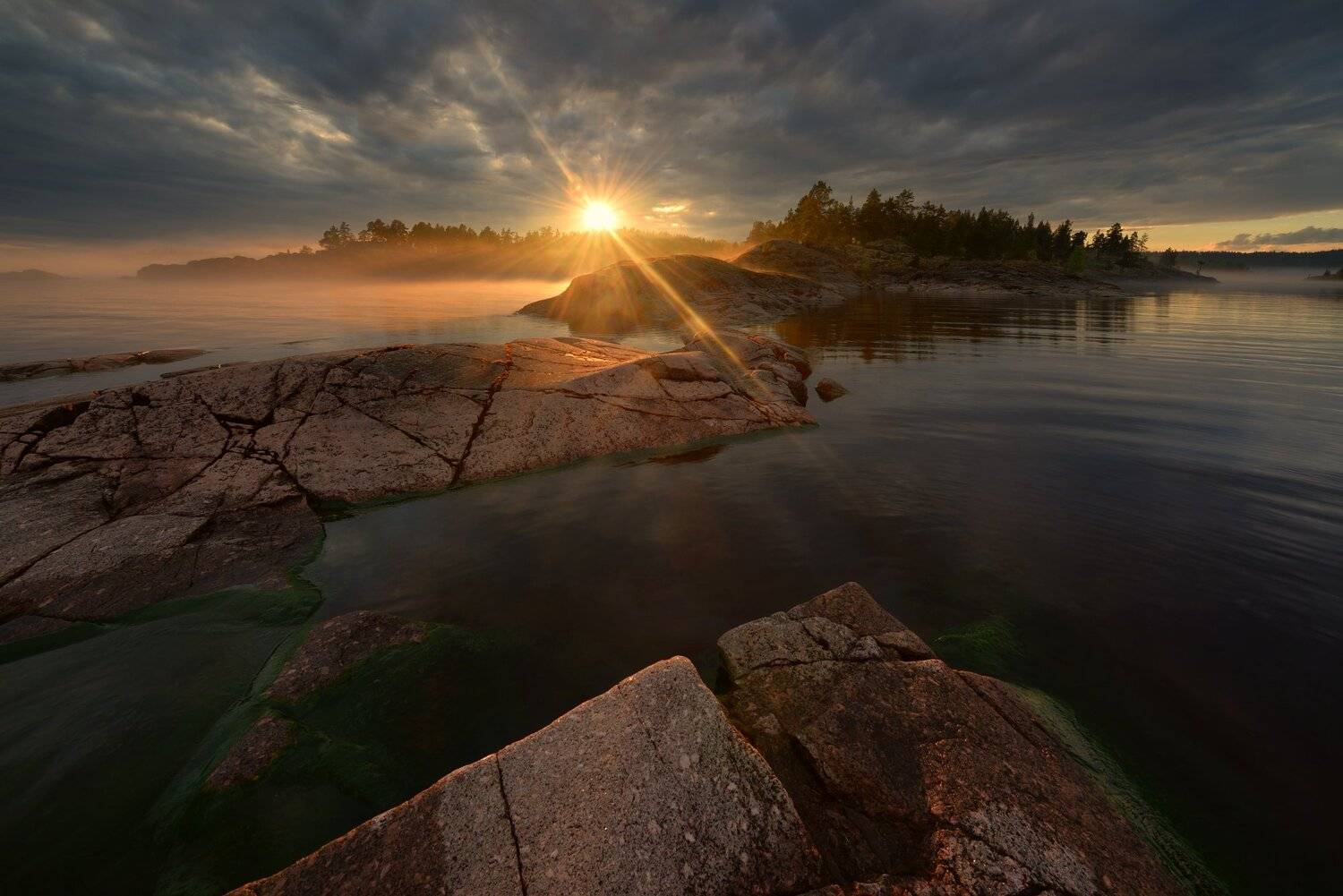 , Максим Евдокимов (www.wildphotorus.ru)