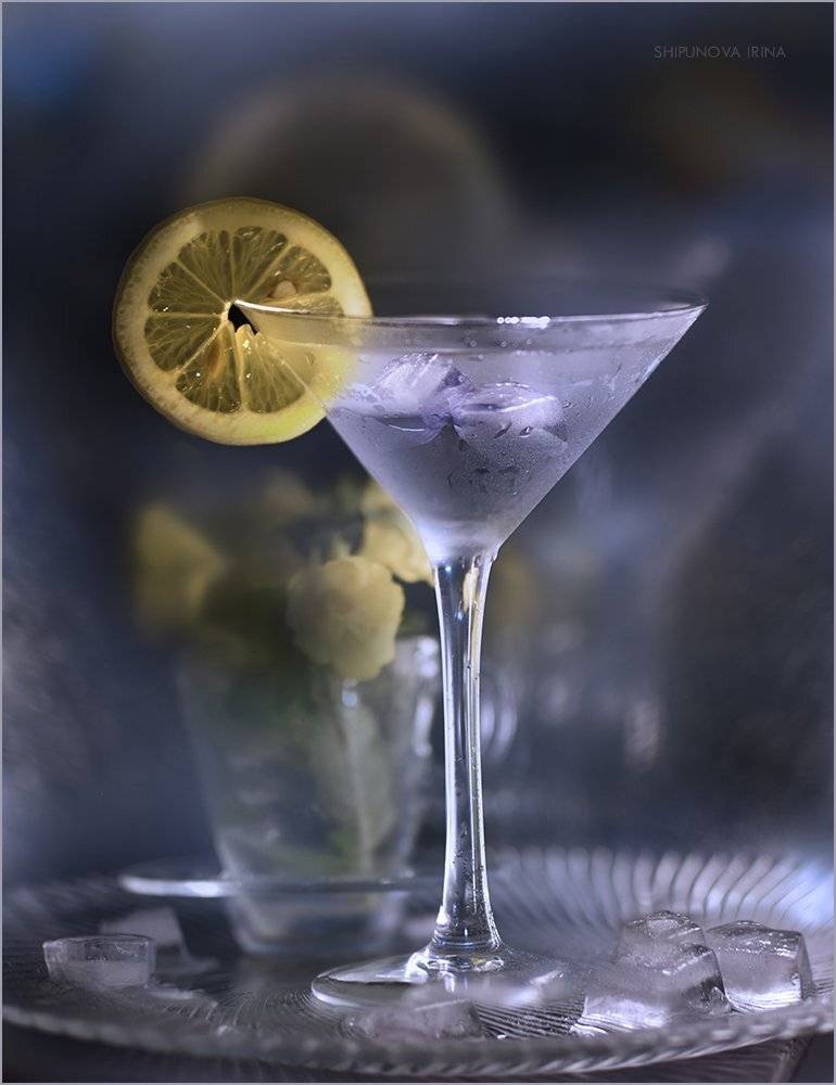 , Шипунова Ирина