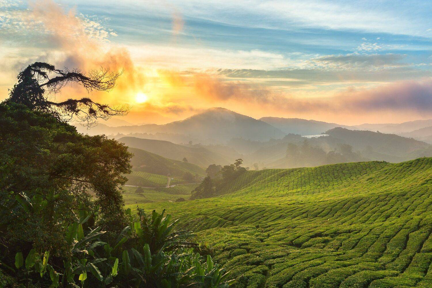 , Михаил Туркеев