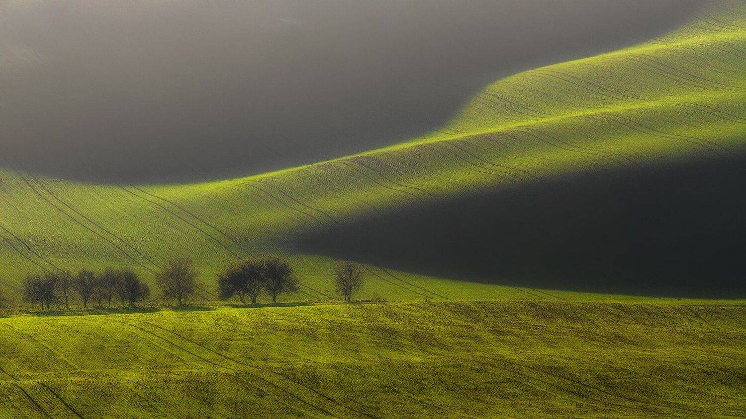 landscape,canon,moravia,light,spring, Iza,Darek
