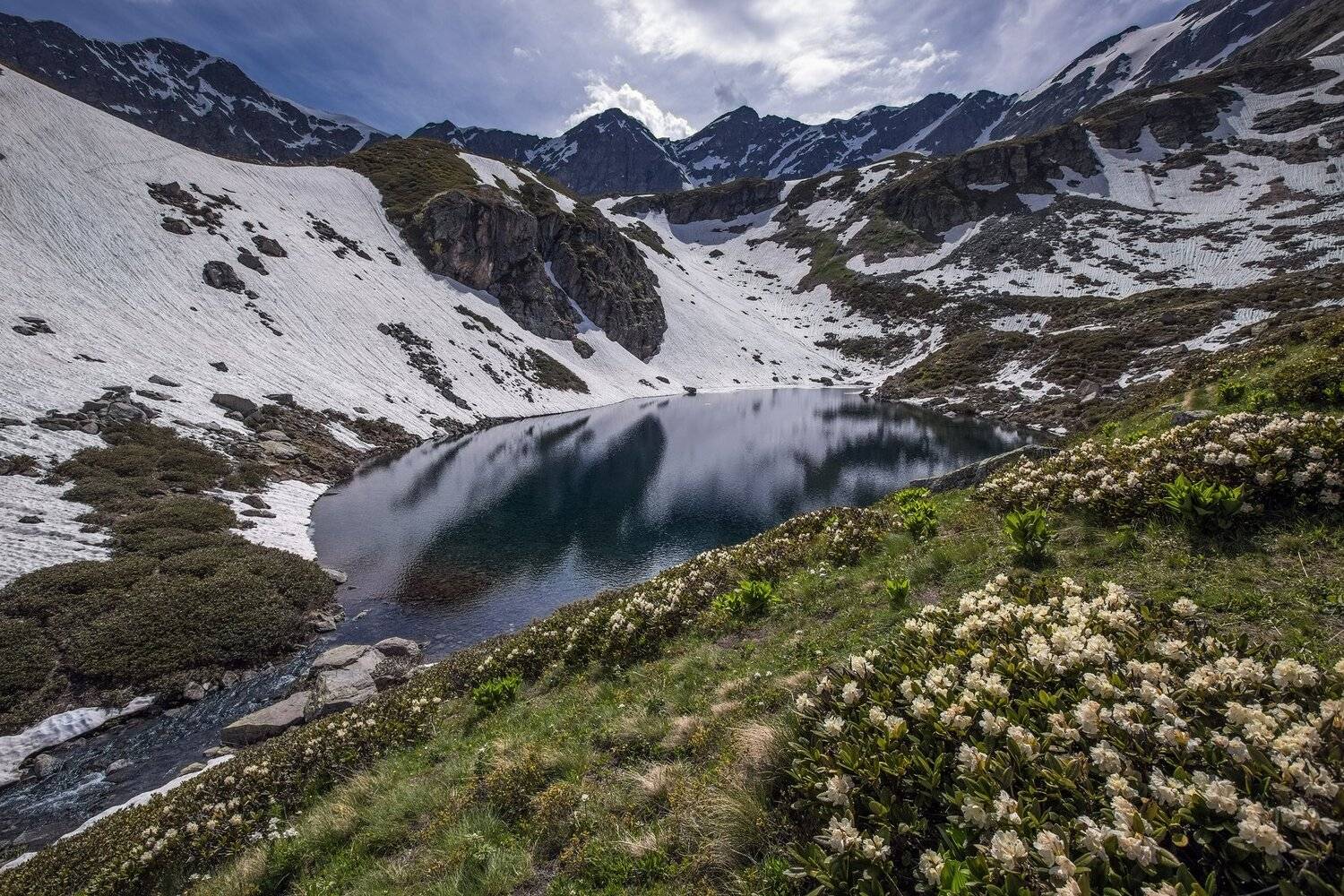кчр,карачаево-черкесия,горы ,дукка,архыз,карачаево-черкесия,рододендрон, Коркин Вадим