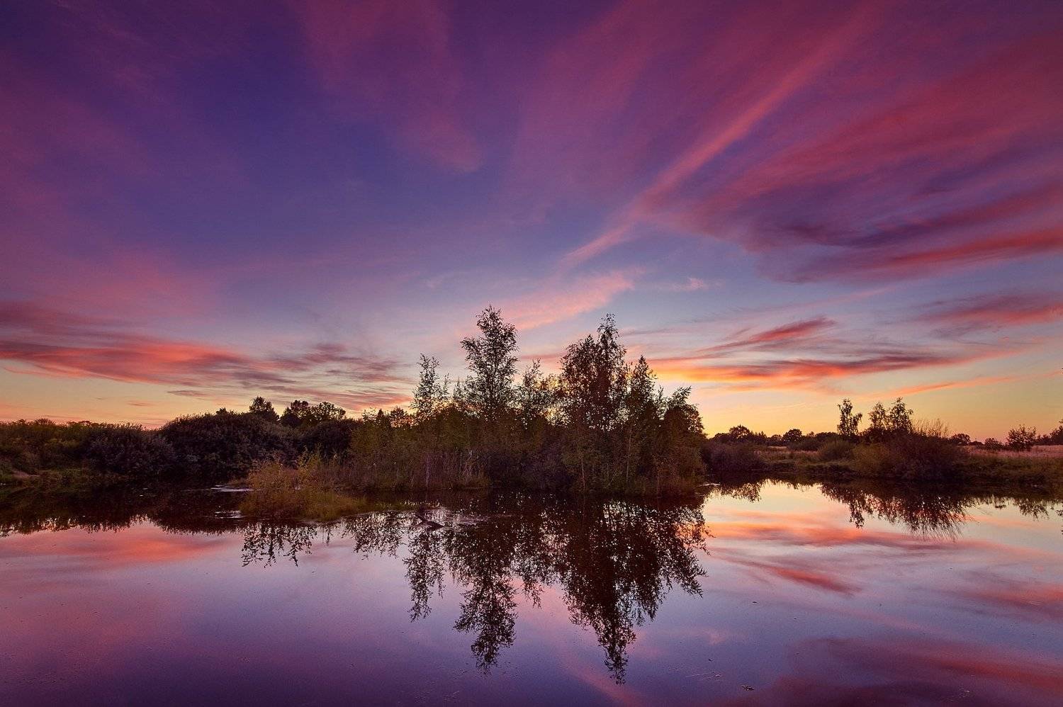 , Каревский Дмитрий