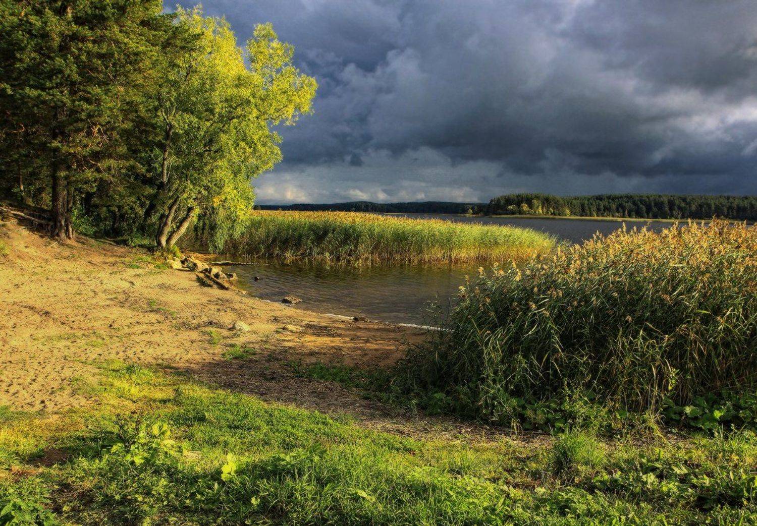 , Галина Хвостенко