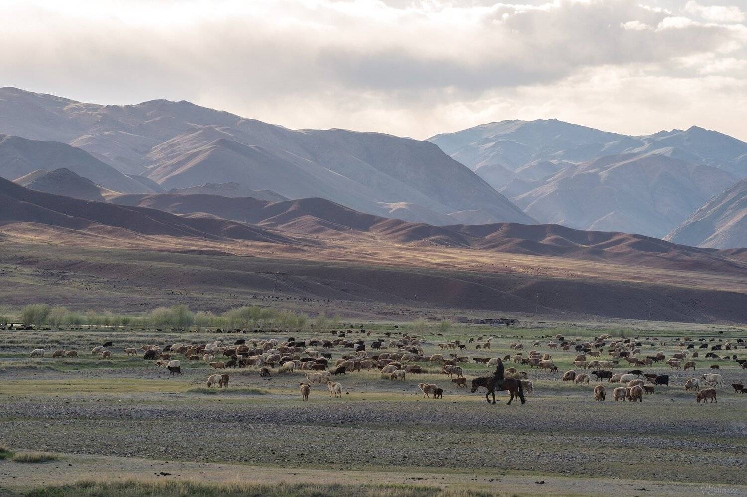 , Блинов Василий