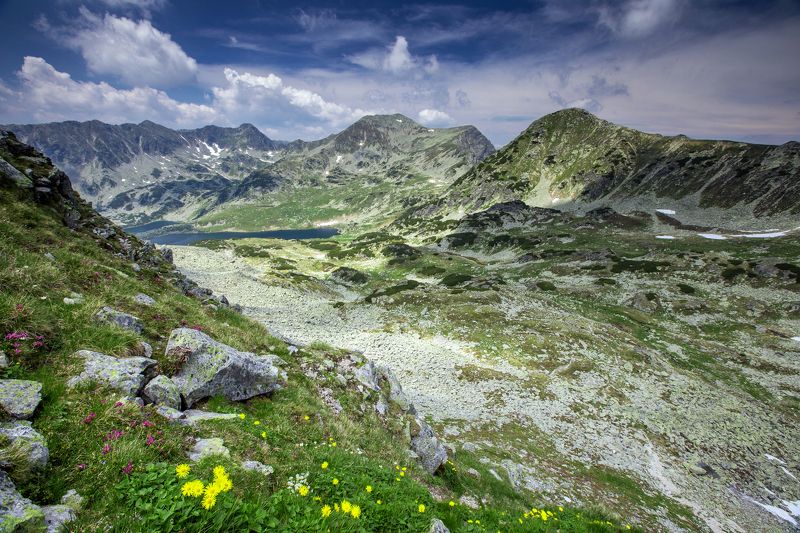 mountains,Retezat,colors,flowers,lake,Romania, Summer colors фото превью