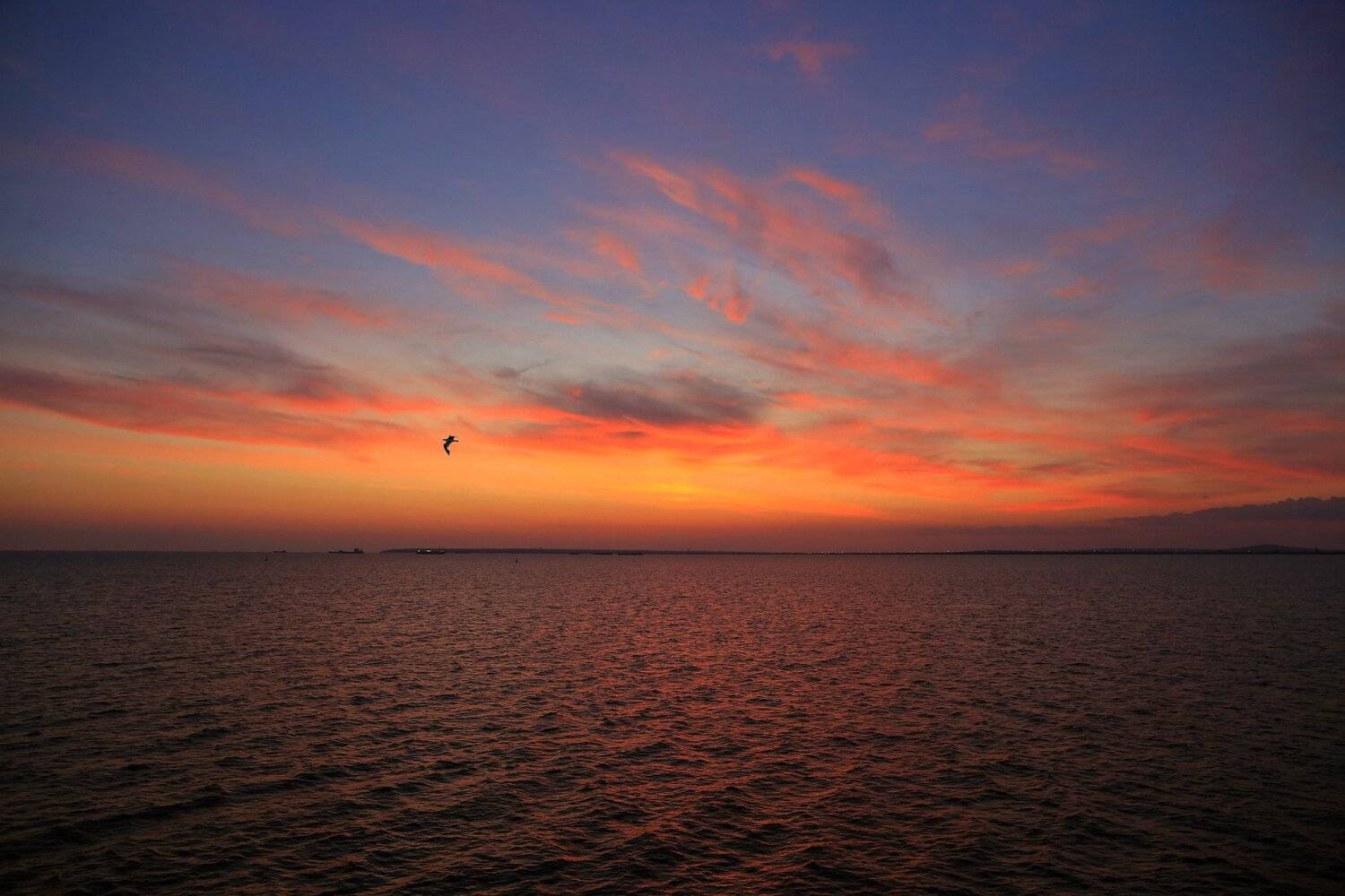 тамань-керчь, рассвет, Алексей Рыльский