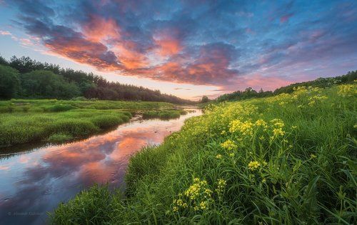 Июньский вечер...